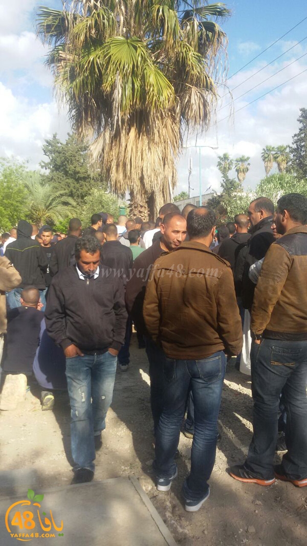 tashye3 sana3e lud (6).JPG